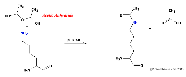 Acetic Anhydride Reaction