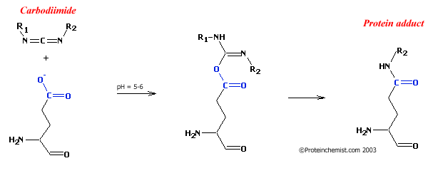 Carbodiimide Reaction