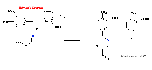 Ellmans Reagent Reaction