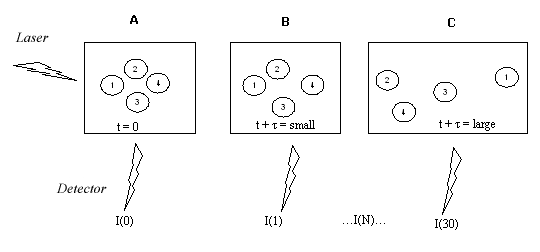 Dynamic light scattering scheme